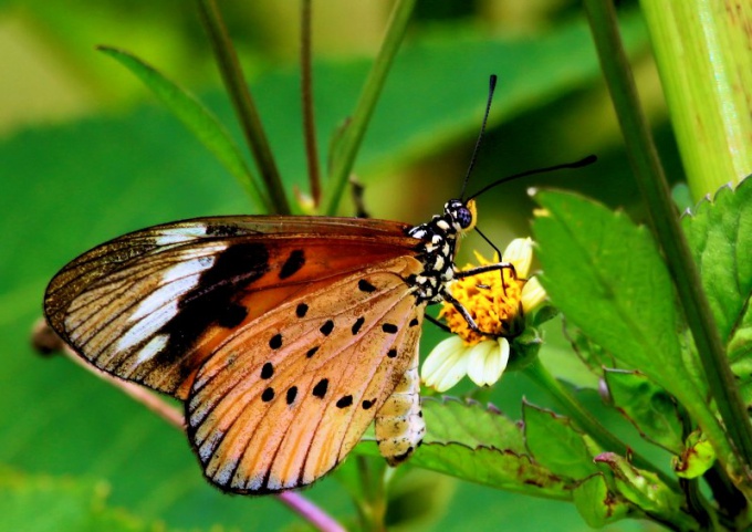 วิธีการสร้างปฏิสัมพันธ์ในครอบครัว